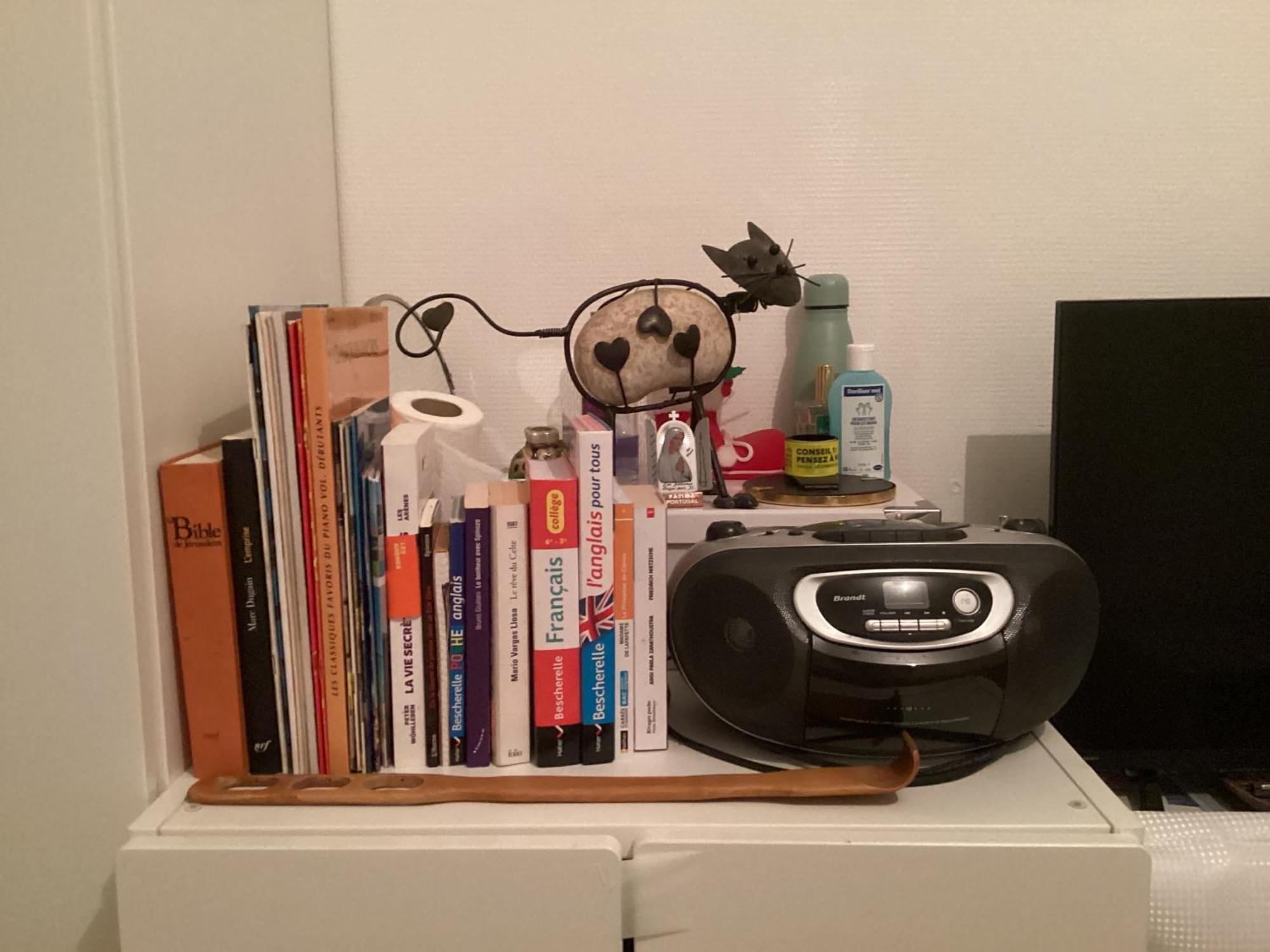 Chambre Chez Le Habitant 282 Rue Lecourbe 75015 Paris Dış mekan fotoğraf